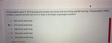 Solved The glycogenin gene is 1673 bp long and contains two | Chegg.com