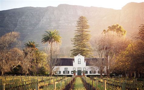 The best vineyards to visit in South Africa