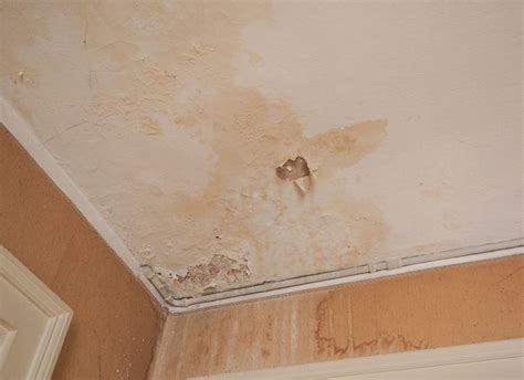 How to Repair Water Damaged Drywall so Stains Never Return