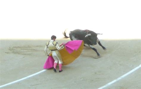 The Basics of Bullfighting