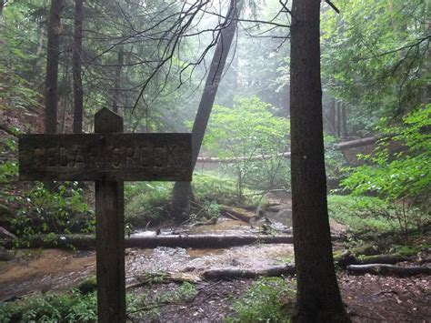 Camping in the Manistee National Forest