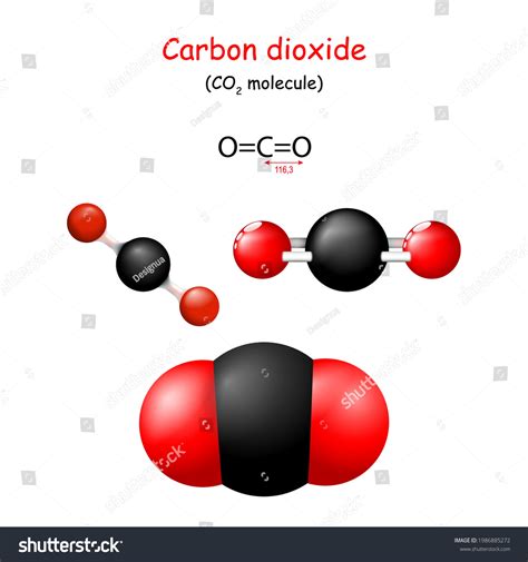 Carbon Dioxide Structural Chemical Formula Co2 Stock Vector (Royalty Free) 1986885272 | Shutterstock