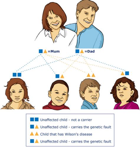 symptoms of wilson's disease Wilsons healthresource4u diseases ...