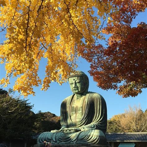 Autumn Leaves in Kamakura 2018 | Kyuhoshi