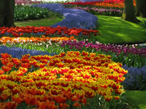 Amazing Magazine: The world’s largest flower garden – Keukenhof, the Netherlands