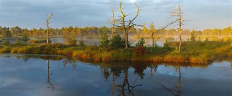 Nature and Wildlife Tours in Estonia - NaTourEst