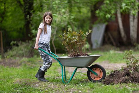 Kid In Wheelbarrow Images – Browse 9,932 Stock Photos, Vectors, and ...