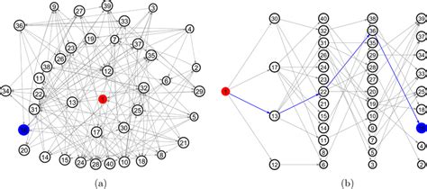 (a) Schematic figures of a complex network. The network is randomly... | Download Scientific Diagram