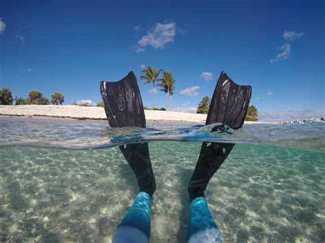 Peanut Island Adventure - Snorkeling Palm Beach