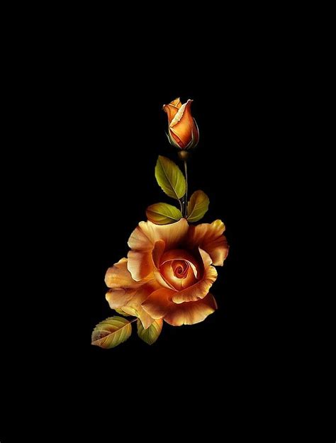 1920x1080px, 1080P free download | GOLD rOSE, 3d, background, black ...