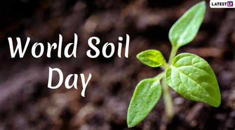 World Soil Day 2019 Date: History, Significance and Theme of This ...