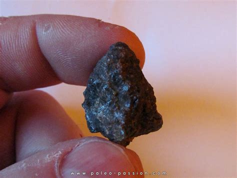 METEORITE ACHONDRITE DIOGENITE NWA 7831