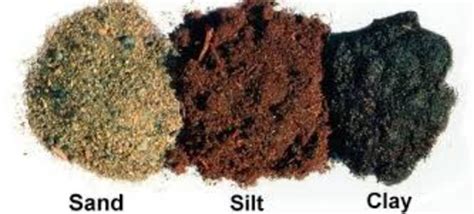 The Importance of Knowing Different Types of Soil - Dengarden