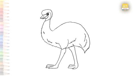 Emu drawings | Birds drawings easy | How to draw an Emu bird step by ...