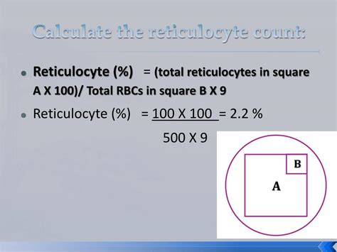 PPT - Reticulocyte Count PowerPoint Presentation, free download - ID:2760785