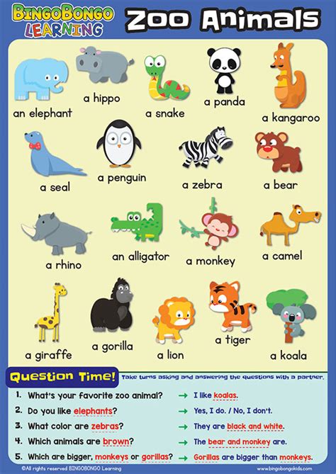 Animals Poster For Classroom