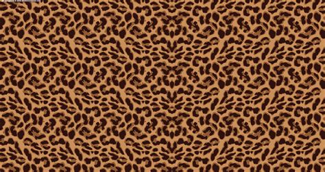 🔥 [68+] Wallpapers Leopard | WallpaperSafari