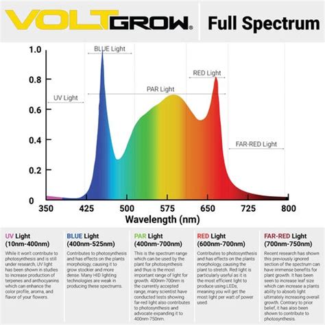 LED GROW LIGHT - Best Grow Light - full-spectrum grow lights Things To ...