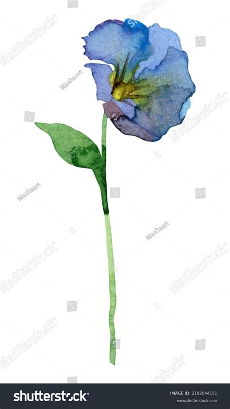 Watercolor Botanical Clipart Blue Flower Stock Photo 2182044151 ...