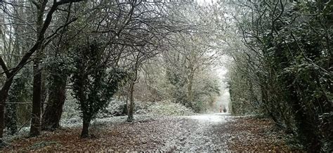 Fascinating photos capture Greater Manchester blanketed in snow ...