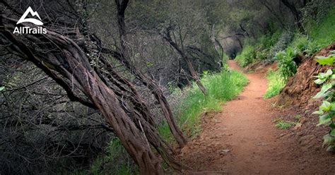 Best Trails in Topanga State Park - California | AllTrails