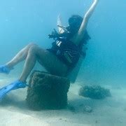 San Juan: Beginner Scuba Diving Tour with Turtles and Videos | GetYourGuide