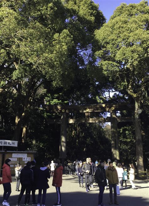 Capt Mondo's Photo Blog » Blog Archive » Entrance to Meiji Shrine