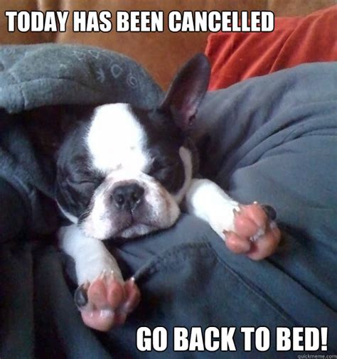 TODAY HAS BEEN CANCELLED GO BACK TO BED! - Cancellation by Punkinhead ...