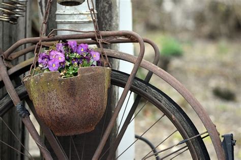 Basket Flowers Bike - Free photo on Pixabay