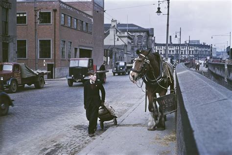 Historic gallery of old Belfast trades - Belfast Live