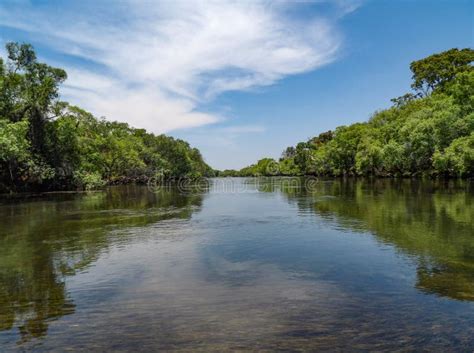 Tranquil View Over the Kafue River in Zambia Stock Image - Image of management, outdoor: 198271299