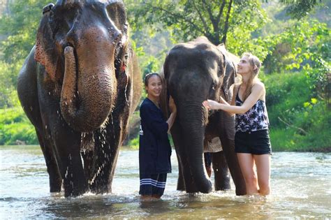 Elephant Sanctuary Chiang Mai and Waterfall Visit All Inclusive
