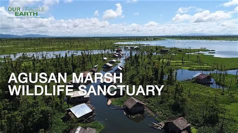 Our Fragile Earth S2E8 Agusan Marsh Wildlife Sanctuary & Mabini ...