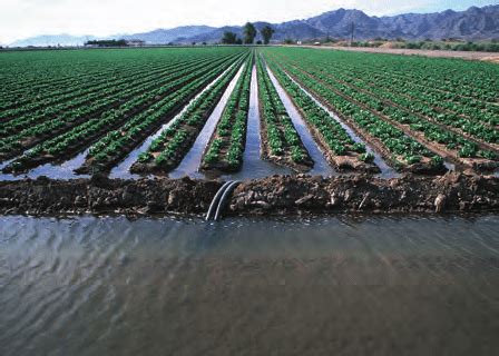 10: Furrow irrigation method | Download Scientific Diagram