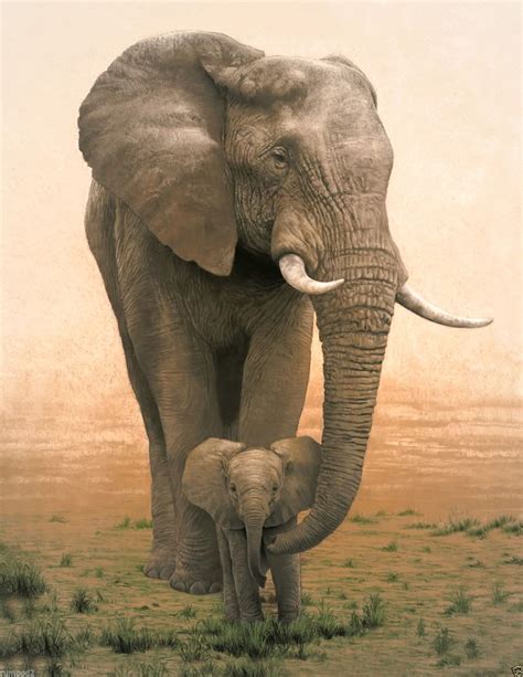 Baby And Mom African Elephants