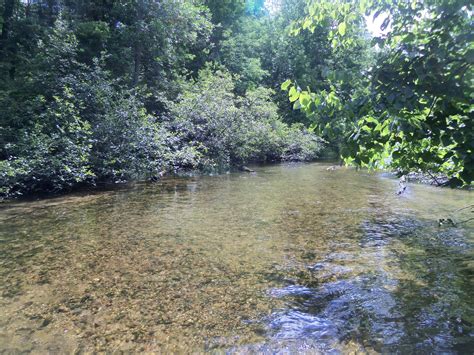 Little Manistee River Water Quality Survey 2013 – Little Manistee Watershed Conservation Council