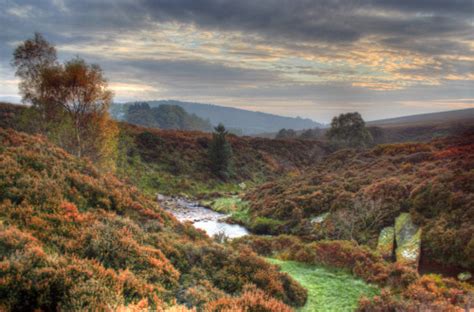 Close your eyes and dream of England - The North York Moors national park (also known...