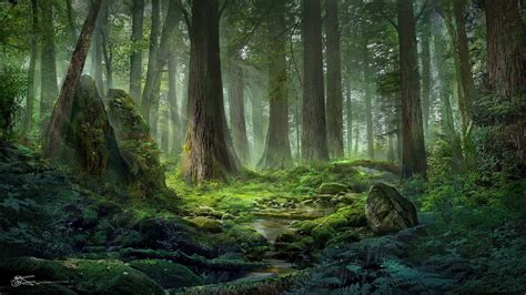 forest, River, Nature, Beauty, Green, Tree Wallpapers HD / Desktop and ...