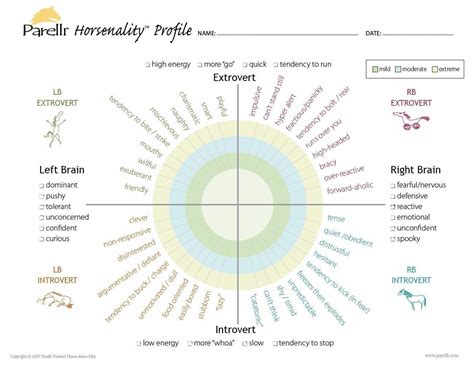 Where does your horse fit on the Parelli Horsenality chart? Horsenality helps us identify horse ...