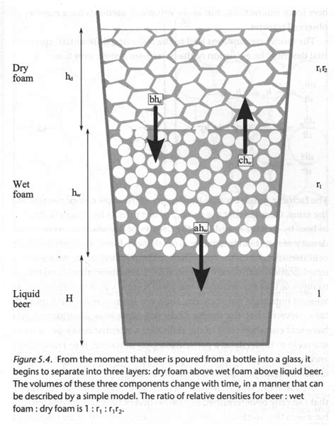 Beer Physics: Bubbles