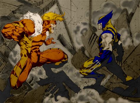 wolverine vs sabretooth by wolverine22 on DeviantArt