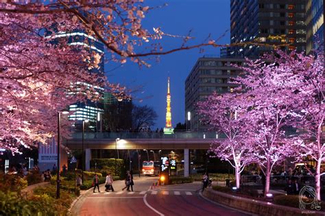 Tokyo Midtown, Roppongi