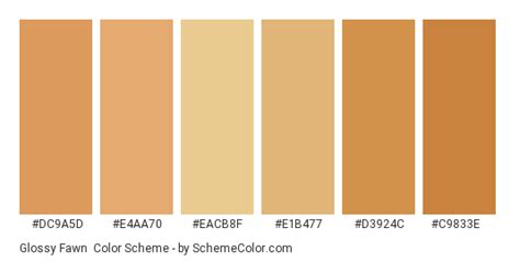 Glossy Fawn Color Scheme » Brown » SchemeColor.com