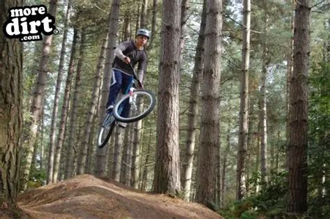 Delamere Forest Park - Mountain Bike Photo - 40305