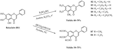 Scheme 1. Synthesis of flavone derivatives from baicalein. Scheme 1 ...