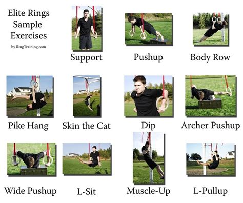 gymnastic ring workout for beginners > OFF-62%