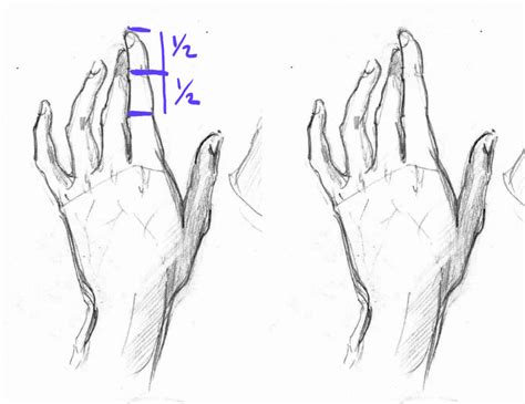 How To Draw Hands Anime Step By Step Drawing Ideas Im - vrogue.co