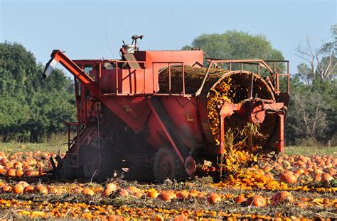 Seed Harvester harvesting pumpkin seeds | While we have seve… | Flickr