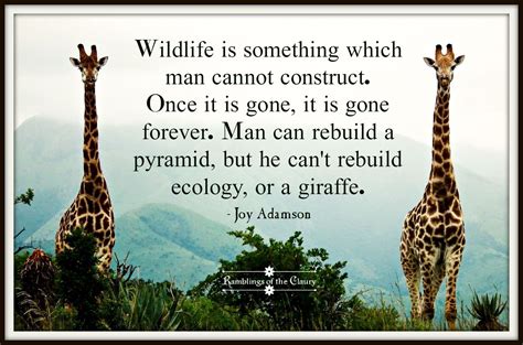 You Can’t Rebuild A Giraffe | Wildlife quotes, Nature conservation ...