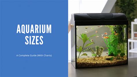 Aquarium Sizes A Complete Guide (With Charts), 56% OFF